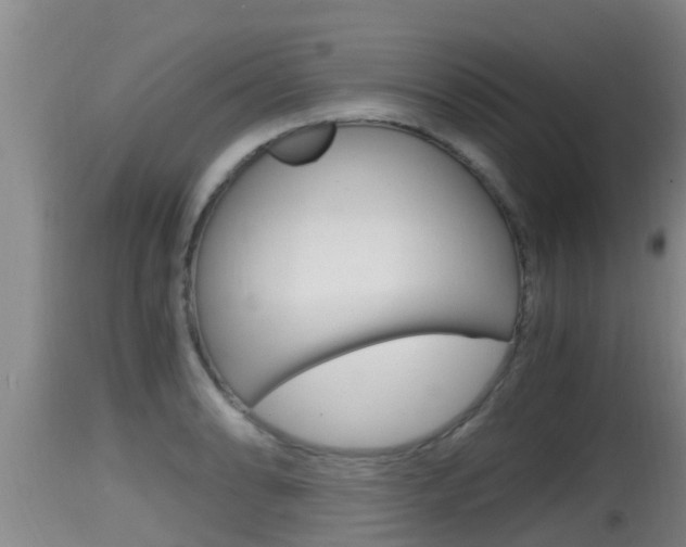 X0000115661086200911120937