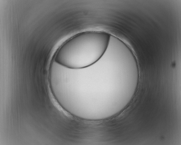 X0000115661088200911120937