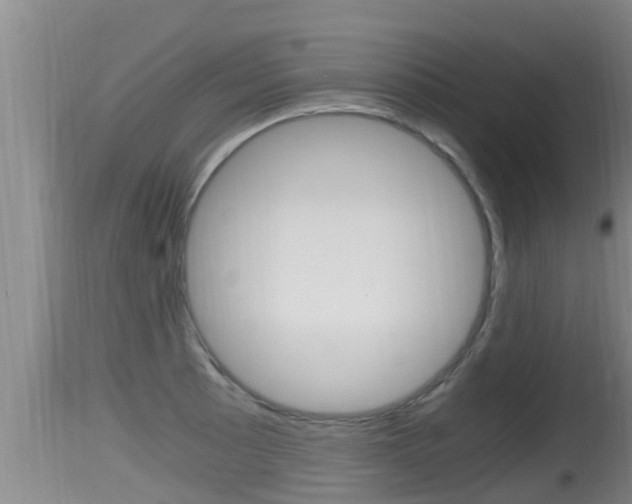X0000115661089200911120937