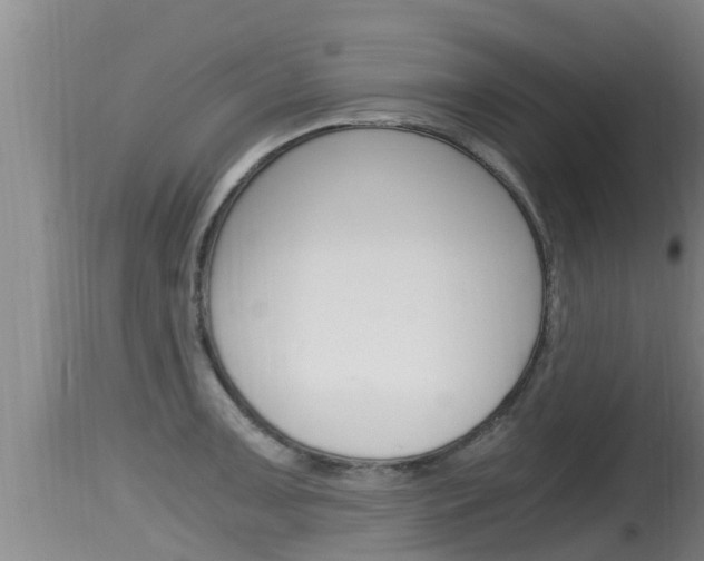 X0000115661091200911120937