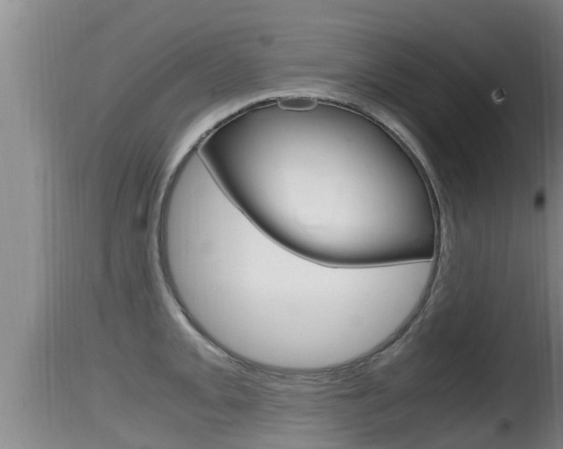 X0000115661093200911120937