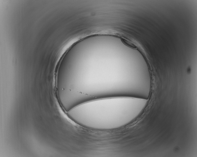 X0000115661095200911120937