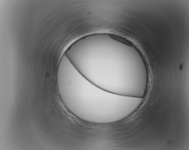 X0000115661097200911120937