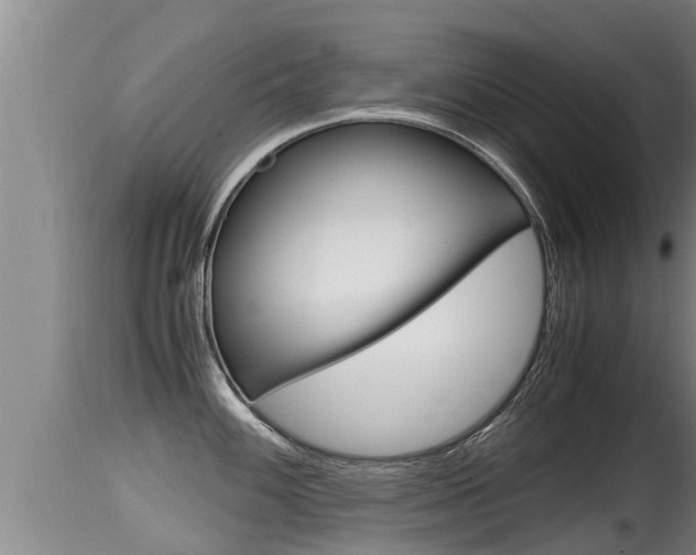 X0000115661100200911120937