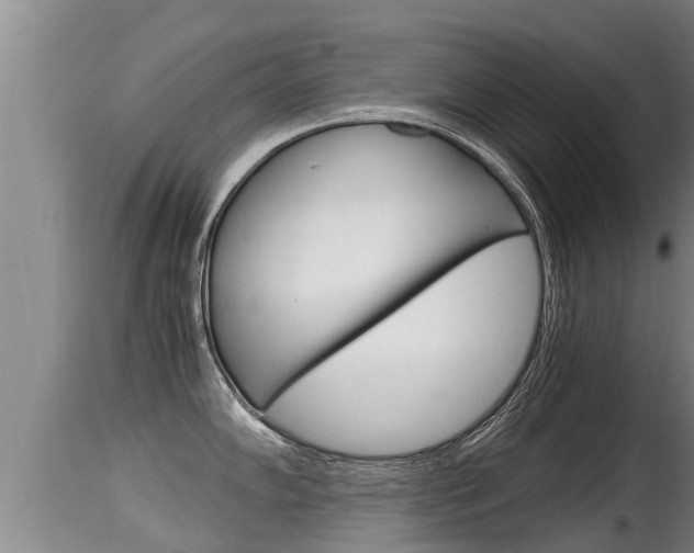X0000115661102200911120937