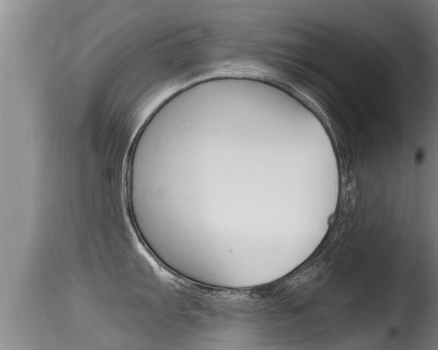 X0000115661103200911120937