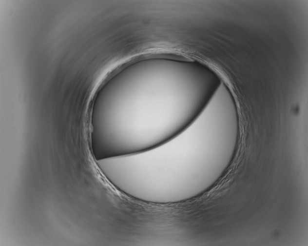 X0000115661104200911120937