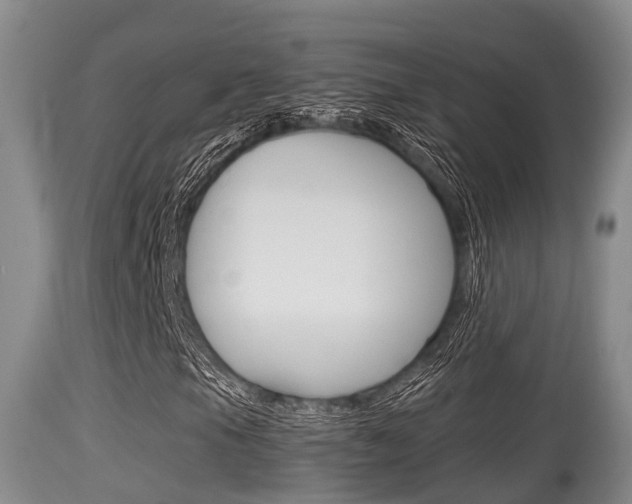 X0000115661105200911120936