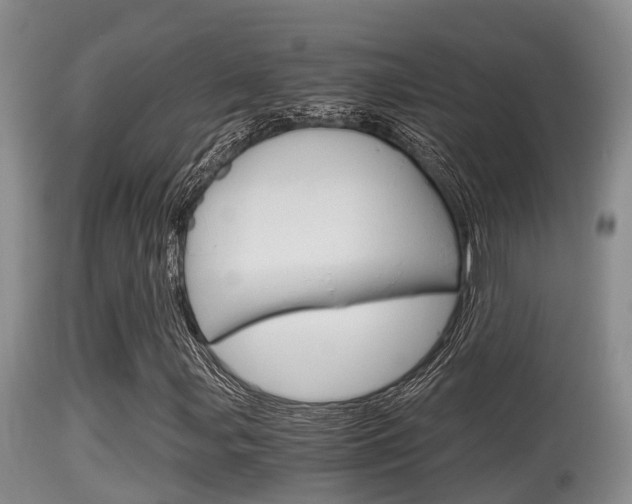 X0000115661107200911120936