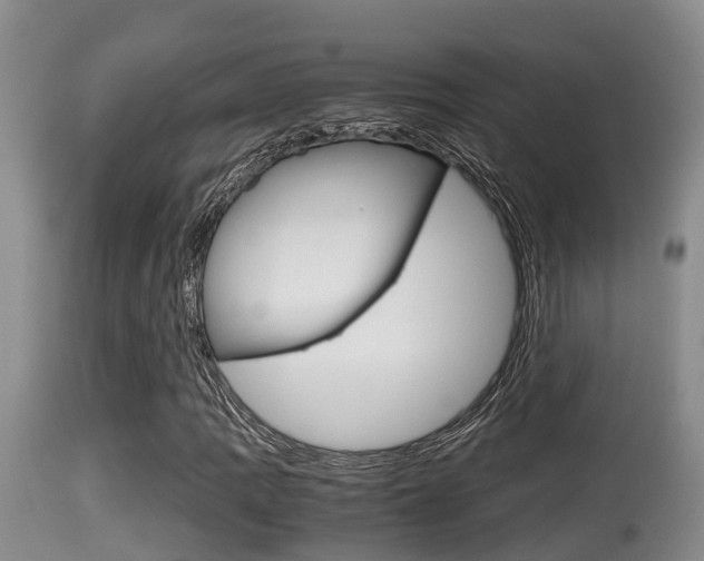 X0000115661109200911120936