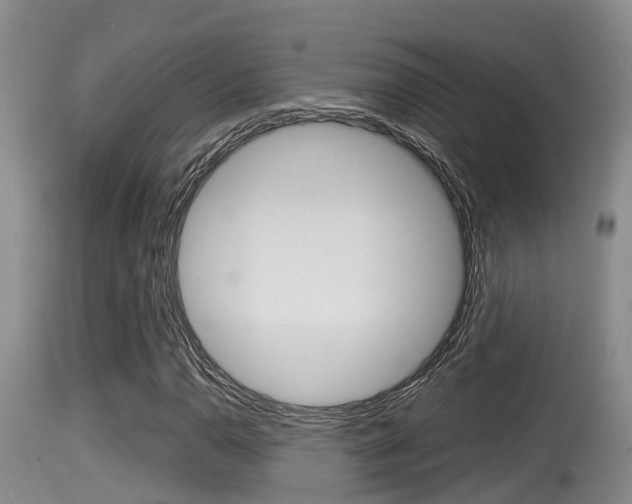 X0000115661110200911120936