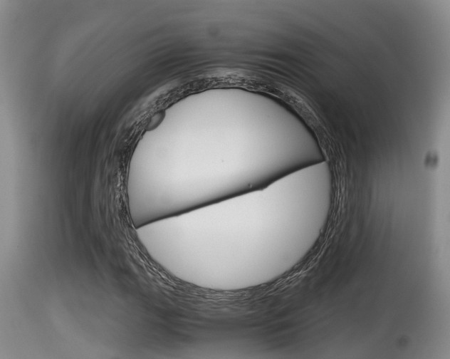 X0000115661111200911120936