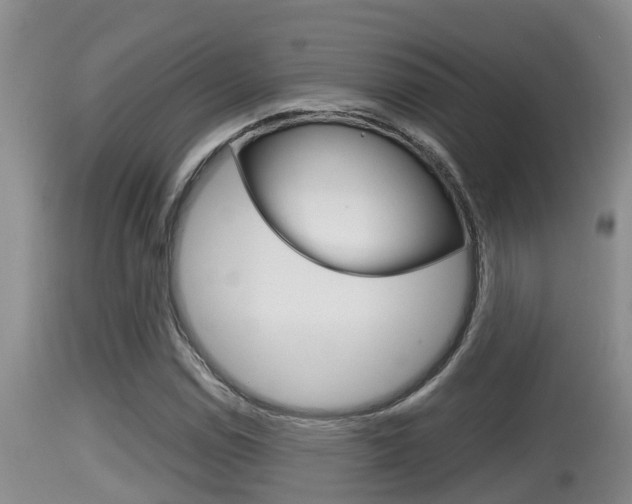 X0000115661114200911120937