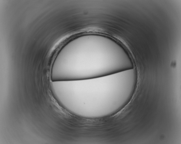 X0000115661115200911120937
