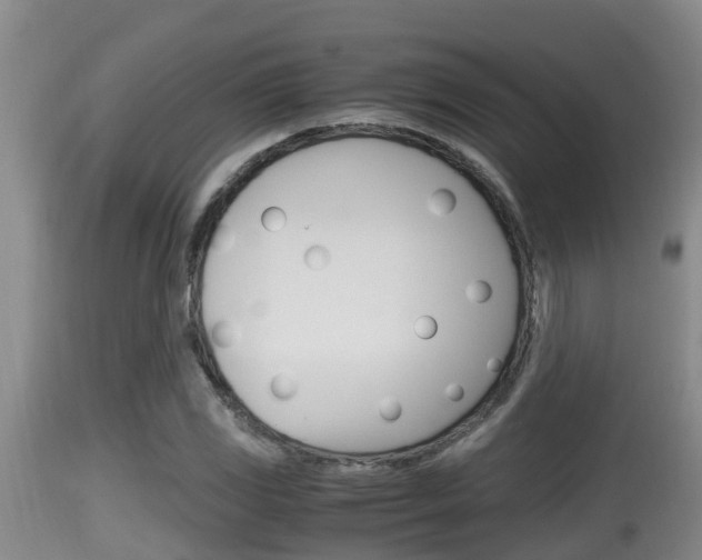 X0000115661117200911120937