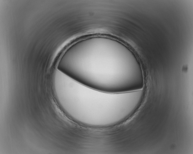 X0000115661118200911120937