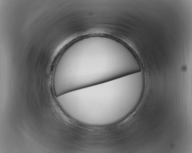 X0000115661119200911120937