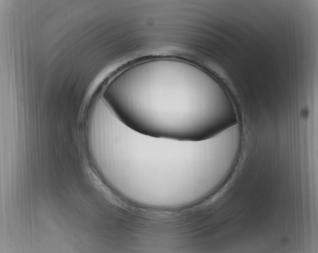 X0000115661122200911120937
