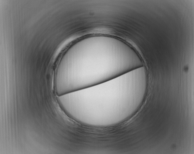 X0000115661123200911120937