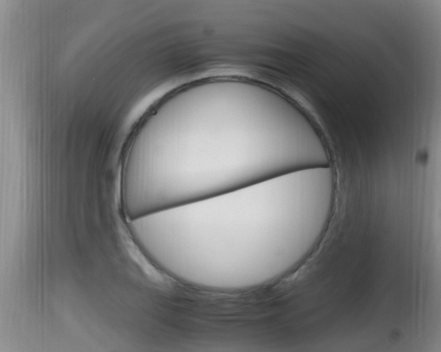 X0000115661127200911120937
