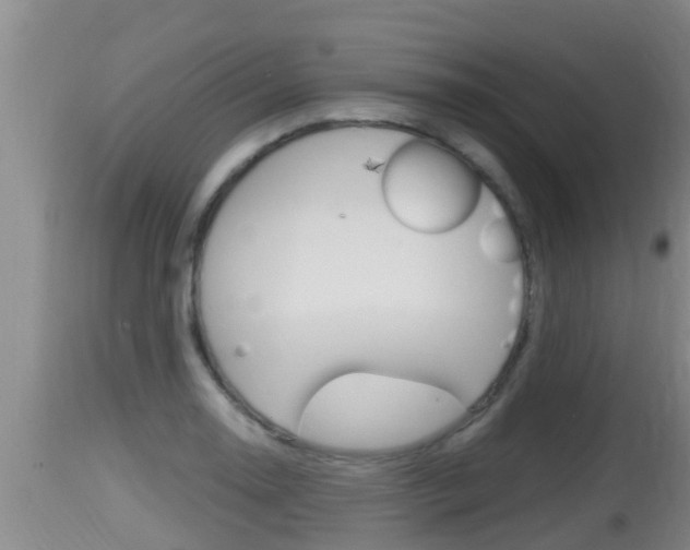 X0000115661130200911120937