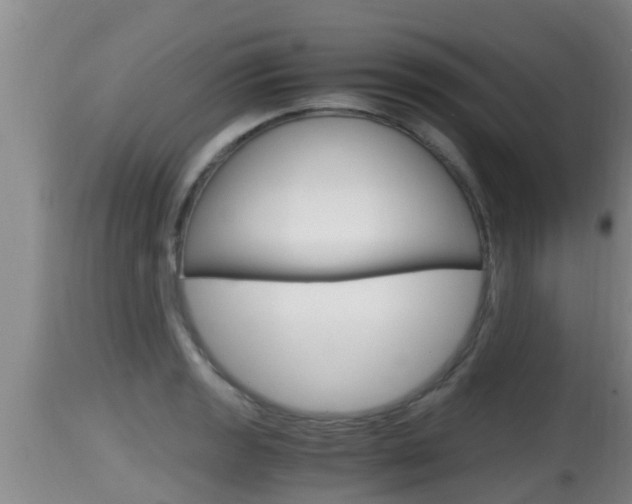 X0000115661133200911120937
