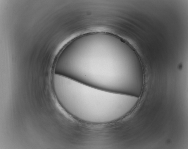 X0000115661134200911120937