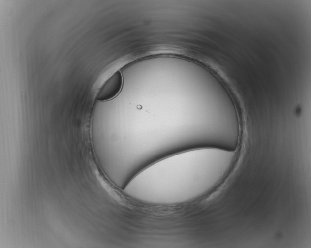 X0000115661137200911120937