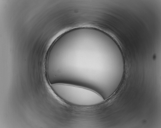 X0000115661142200911120937
