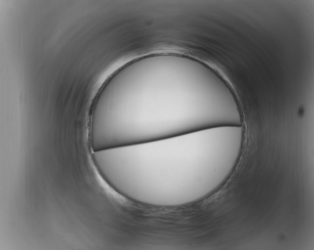 X0000115661143200911120937