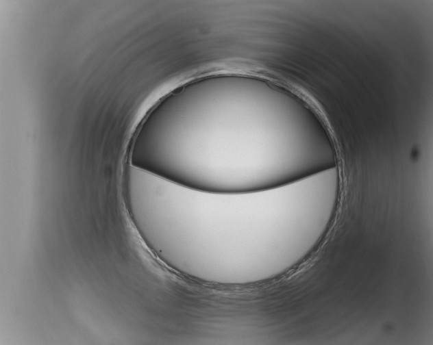 X0000115661146200911120937
