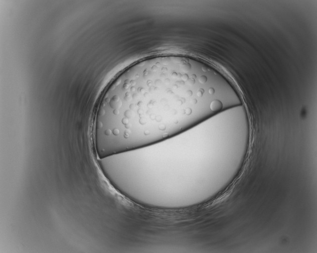X0000115661149200911120937