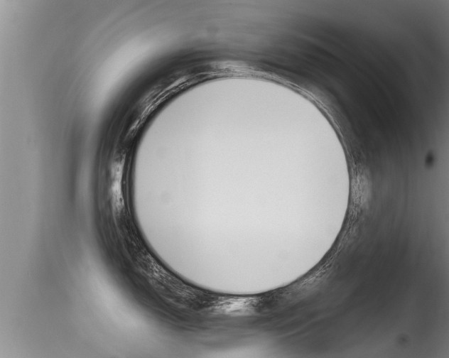 X0000115661150200911120937