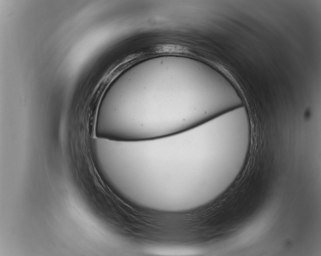 X0000115661151200911120937