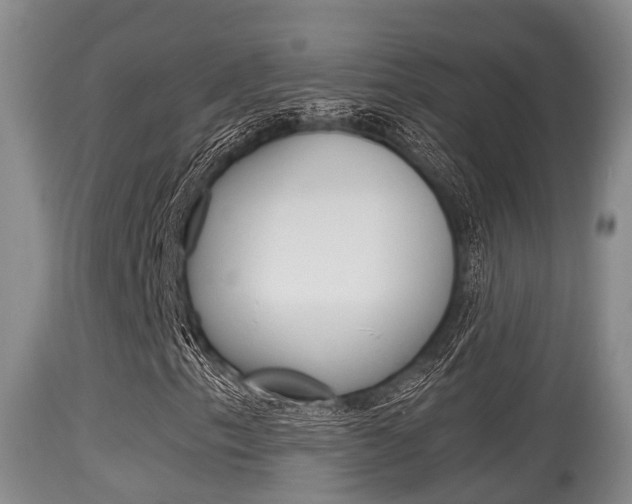 X0000115661153200911120936