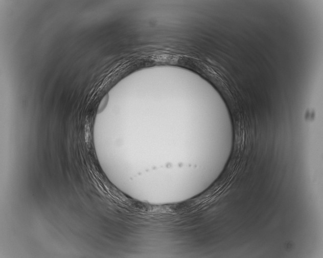 X0000115661154200911120936
