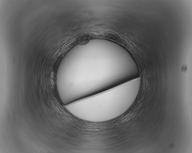X0000115661156200911120936