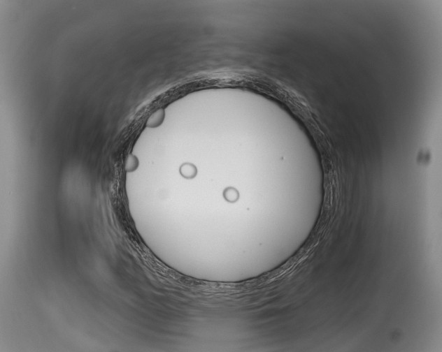 X0000115661158200911120936