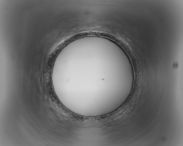 X0000115661159200911120936