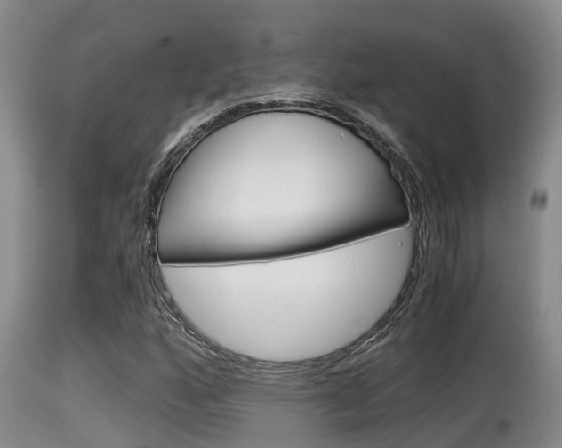 X0000115661160200911120936