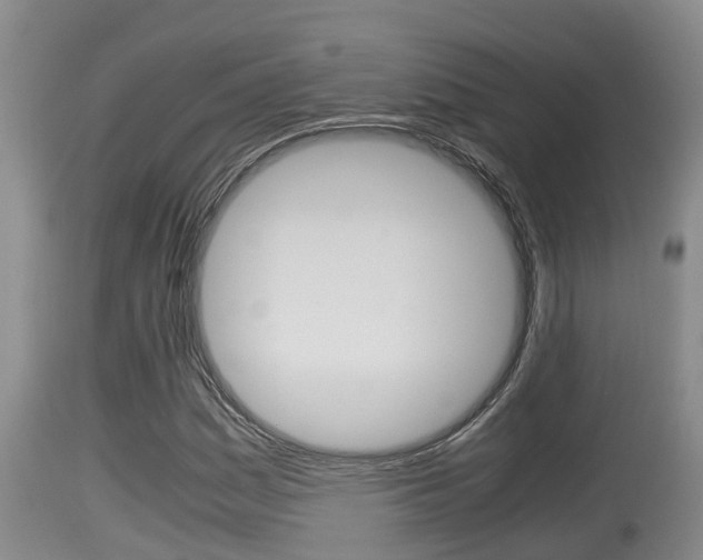 X0000115661161200911120936