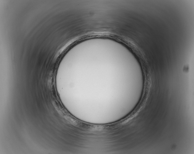 X0000115661162200911120936