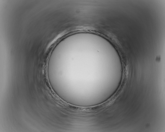 X0000115661165200911120936