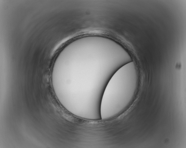 X0000115661166200911120936