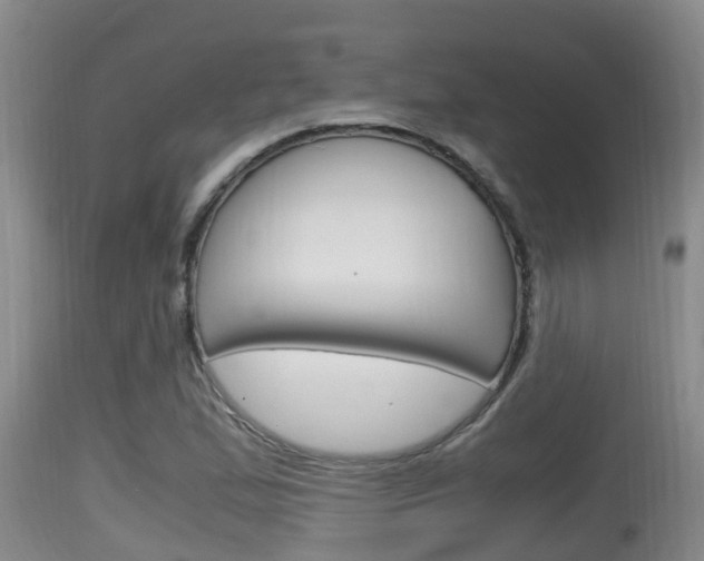 X0000115661167200911120936
