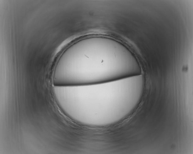 X0000115661168200911120936