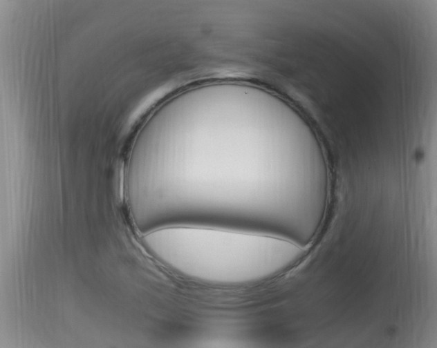 X0000115661171200911120936