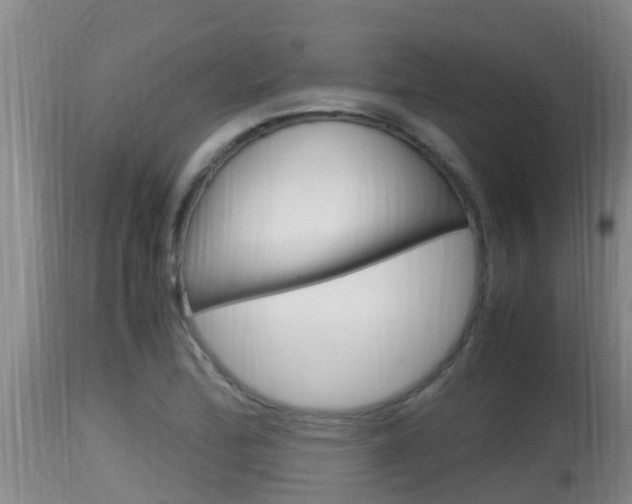 X0000115661172200911120936
