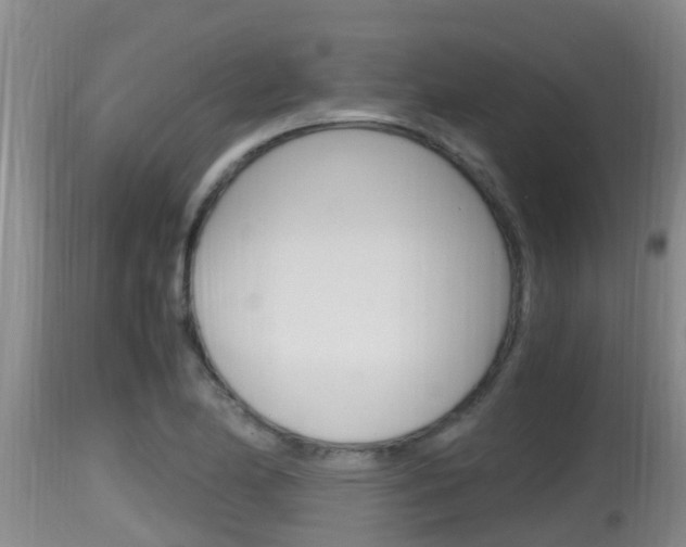 X0000115661174200911120936