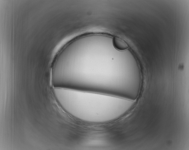 X0000115661175200911120936